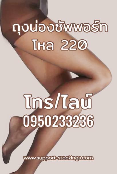 ถุงน่องซัพพอร์ทราคาถูก